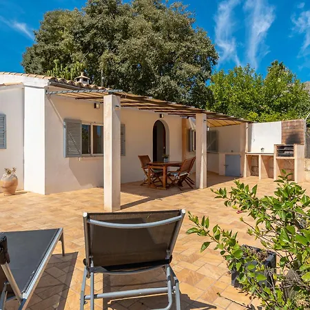 Les Oliveres Petites De Un * Pollença