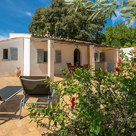 Les Oliveres Petites De Un