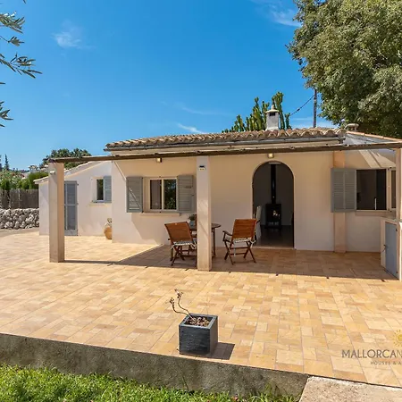 Les Oliveres Petites De Un Pollença