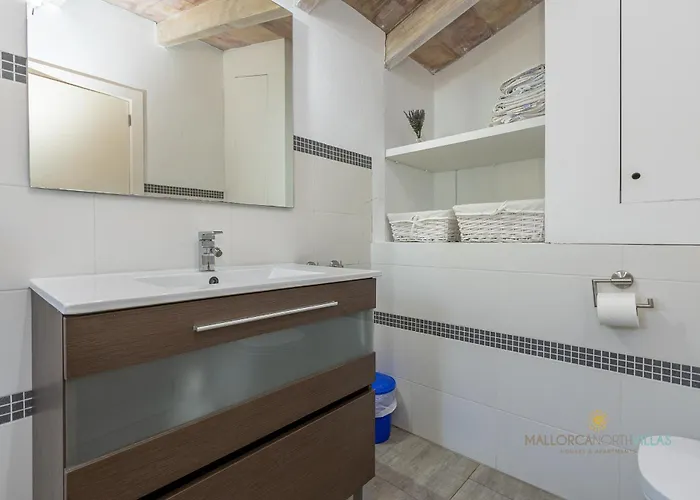 Les Oliveres Petites De Un *